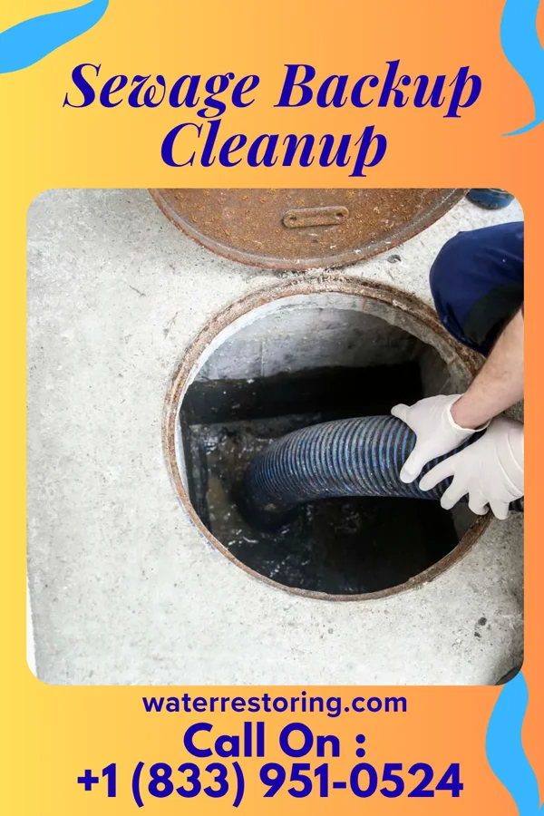 Sewage Backup Cleanup in Posen, MI